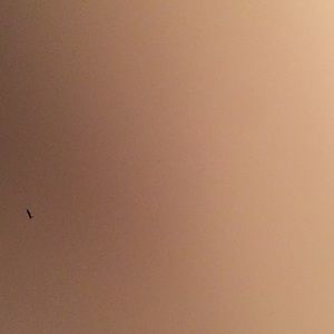 Meet your Posher, Trey